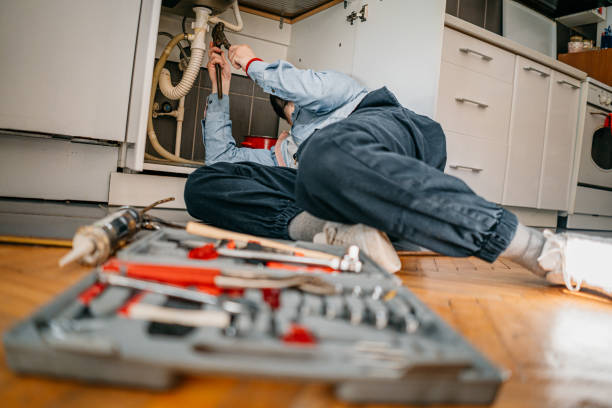 Best Plumbing Services Near Me  in Hidalgo, TX