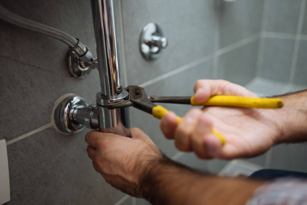 Best Toilet Repair Services  in Hidalgo, TX